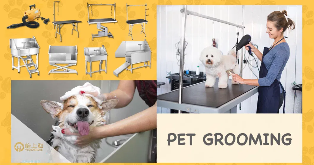 Pet Salon Dog Grooming Table Pet Electric Lifting Grooming Bed