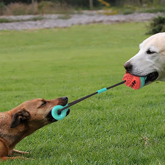 Новый дизайн, игрушка-качалка для собак, игра в мяч, головоломка и жевательная игрушка для домашних животных, лакомства, резиновый мяч, игрушка, бесконечная прокрутка, игрушки для собак